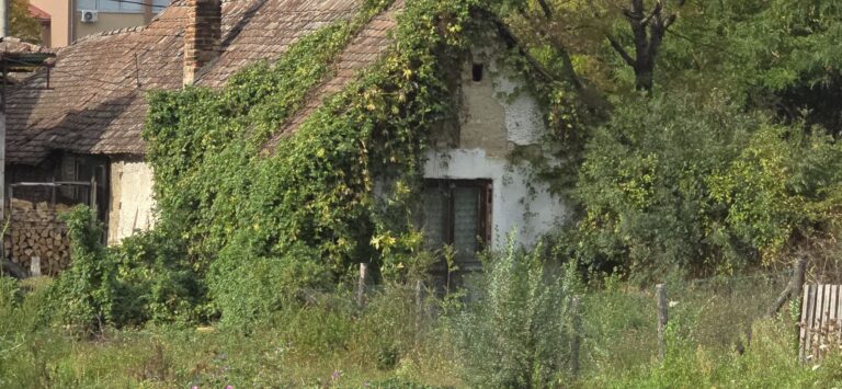 ŠTA RADE NADLEŽNE INSPEKCIJE U BRČKOM