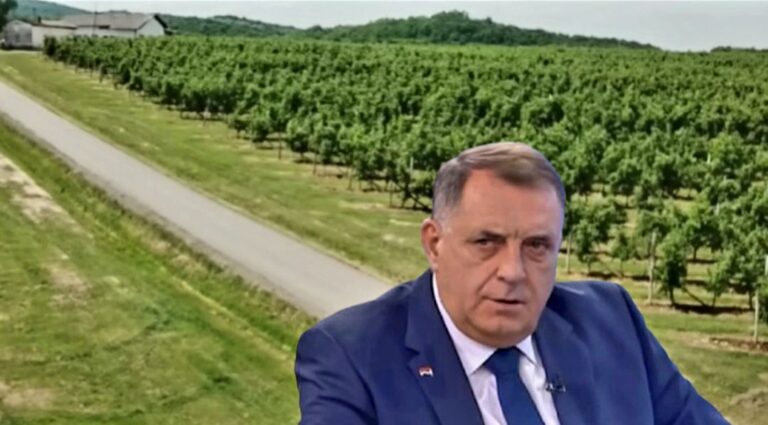 Dodik prodaje zemljište Kinezima za tri eura po kvadratu